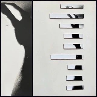 Laurie Rubell Abstract oil paintings(Diptychs) Part 2 - Laurie Rubell
